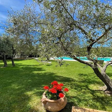 Villa Sole Vino - Fabulous Pool - Fantastic Area - Sleeps Up To 15