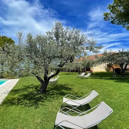 Sole Vino - Fabulous Pool - Fantastic Area - Sleeps Up To 15 * Belvedere (Perugia)