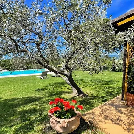 Villa Sole Vino - Fabulous Pool - Fantastic Area - Sleeps Up To 15